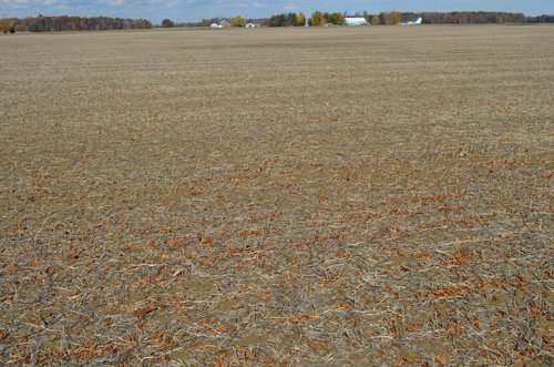 Property photo 25 - 75.3 Acres Offered in 2 Tracts
